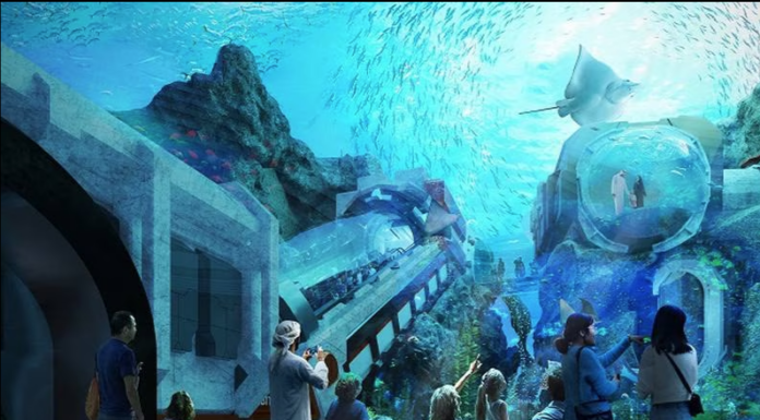 SeaWorld Abu Dhabi to Open in May SeaWorld Abu Dhabi