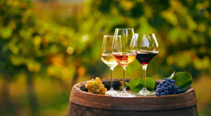 Irish Ferries Launches 2023 Wine Tasting Experience wine tasting