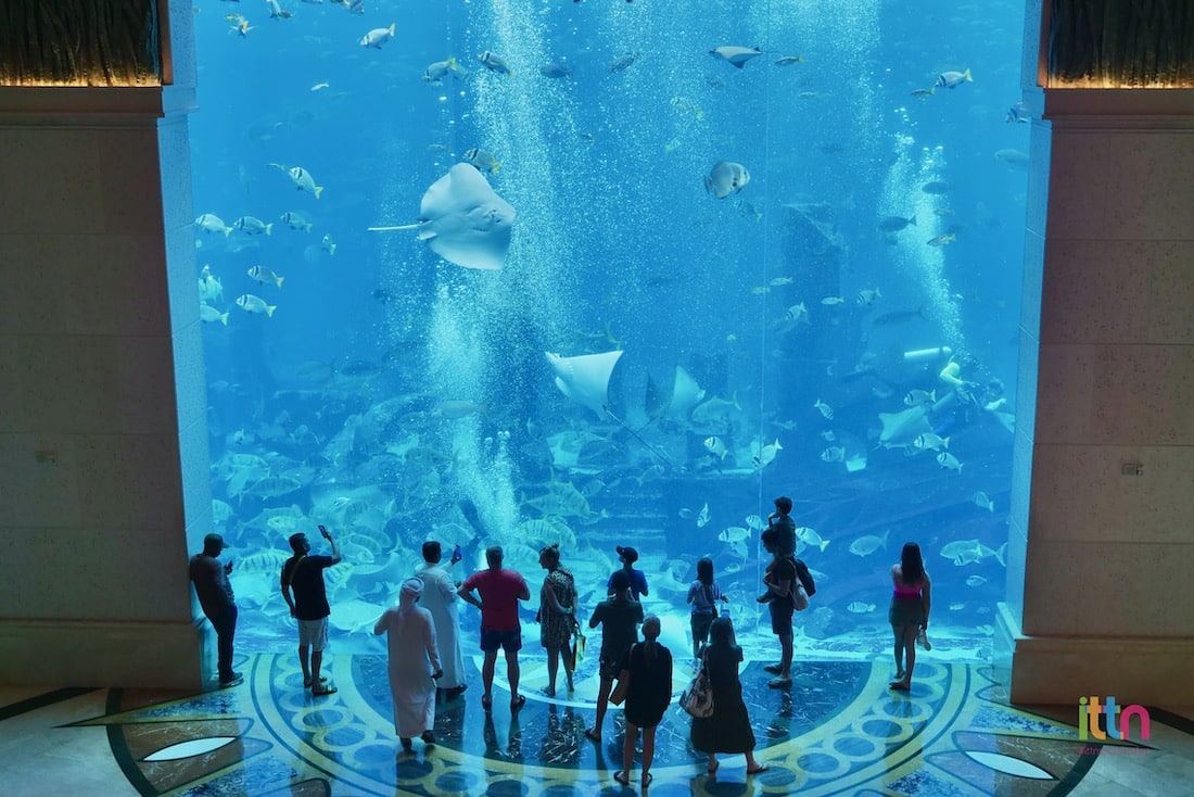 ITTN at The Lost Chambers Aquarium in Atlantis with Visit Dubai