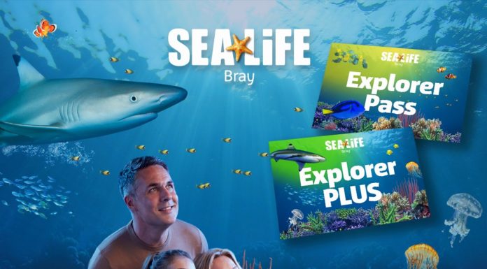 SEA LIFE Bray Launches Annual Passes for First Time Since 2019