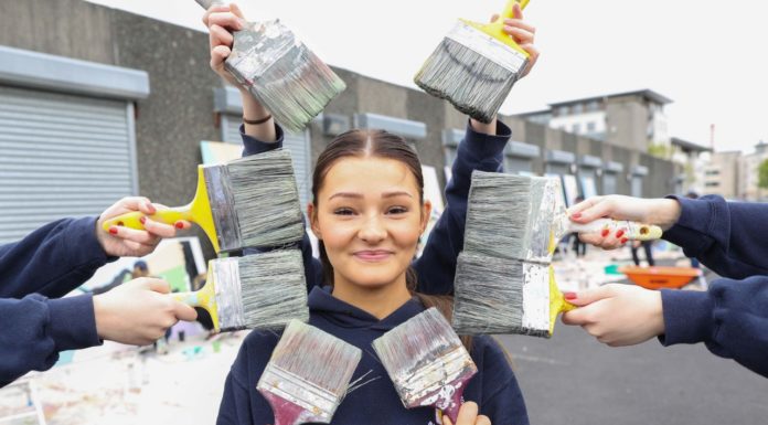 Aer Lingus Cleans Up in Ballymun