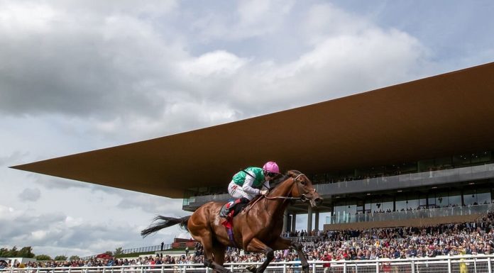 Moet & Chandon to Sponsor The Curragh’s Summer Race Season