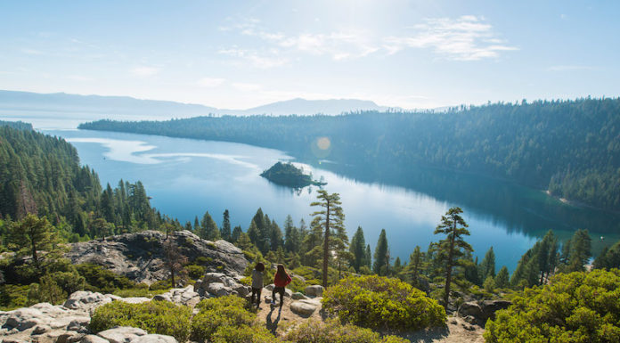 Giant Trees and Ancient Forests in the Golden State with Brand USA!