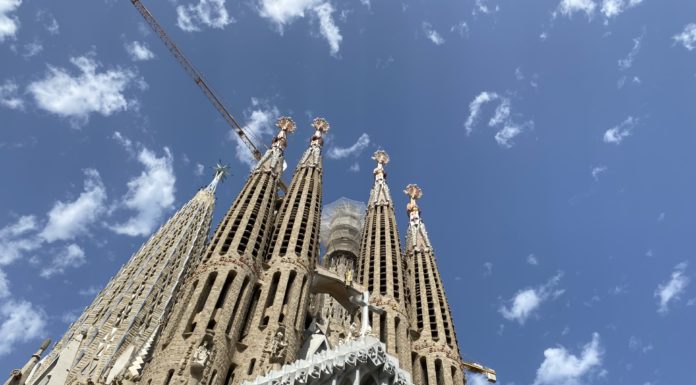 From Craft Beer Bars to Cat Cafés: A Short Cut Around Barcelona