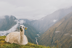 Intrepid Hays Travel Inca Trail charity trek