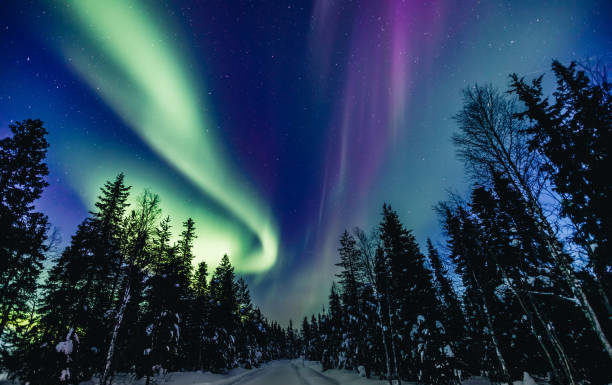 Ryanair Launches Dublin-Lapland Winter Schedule Ryanair Dublin Lapland winter schedule