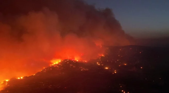 Wildfire Near Athens Forces Evacuations and Disrupts Flights Palermo Airport Reopens