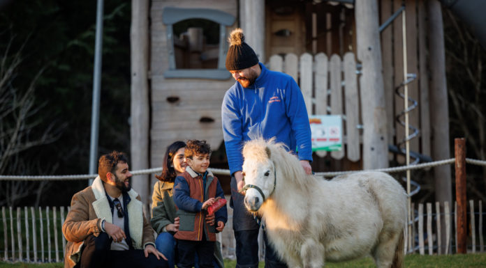 Fáilte Ireland Research Shows Benefits of ‘Daycations’ for Families