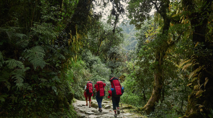 Intrepid Travel Adds Carbon Labels to 500 Itineraries to Better Measure Travellers’ Carbon Footprints