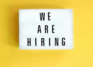 We are Hiring: ITTN Group Seeks Business Development Executive