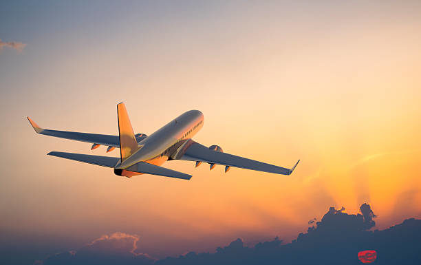 Nearly 5 Billion People Expected to Travel by Plane in 2024, as Airline Profits set to Soar