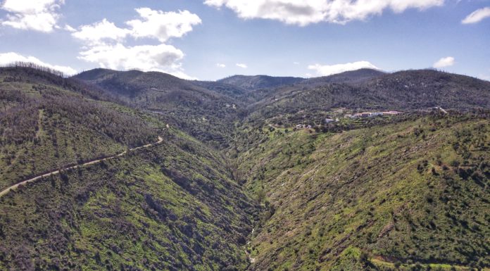 Exciting Developments in the Algarve for 2024