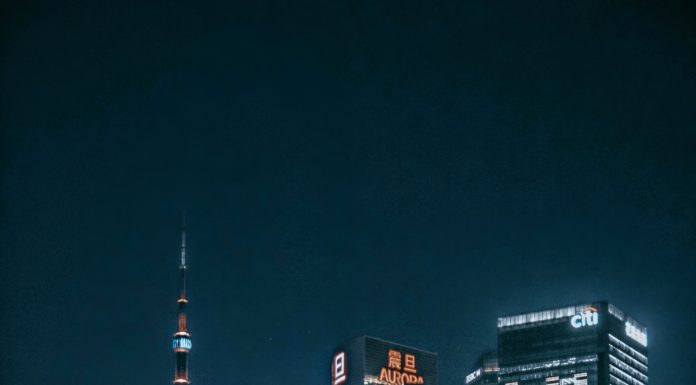 Exploring the Future: PATA Unveils 2024 Travel Trends in Pacific Asia