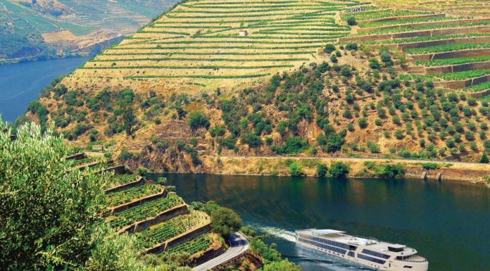 APT & Travelmarvel Launches New Year Agent Incentive: ‘Book Four & Go Explore’