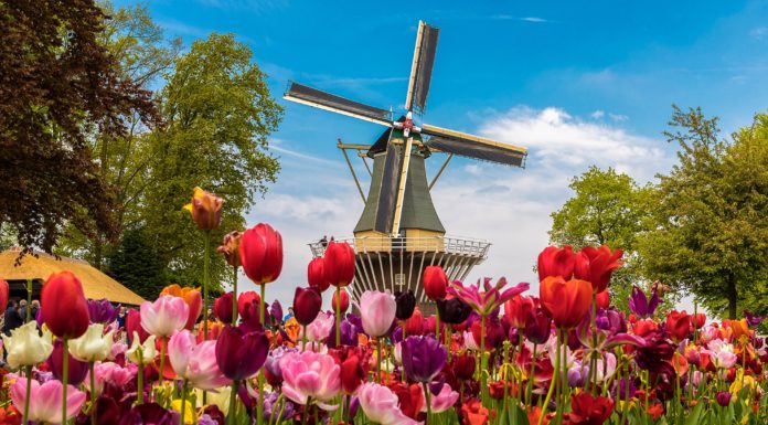 Adventures by Disney Unveils New River Cruises in Belgium and Holland