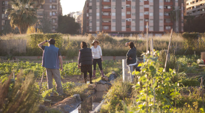 Valencia Makes its Debut as European Green Capital 2024