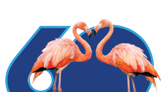 ‘So Much More to Sea’: SeaWorld Launches 60th Anniversary Celebrations