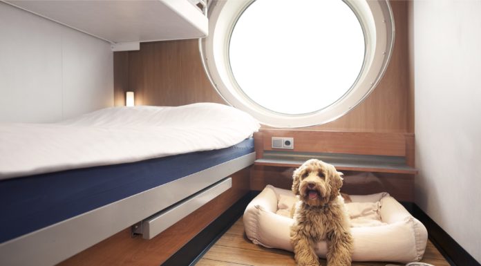 Stena Line Ups its Pet-Friendly Credentials by Naming Ferry ‘Pawmother’