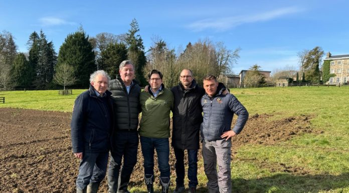 Griffin Hotel Group Triggers Next Phase of €1m Sustainability Programme