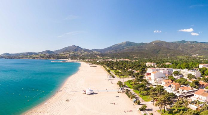 Rising Interest in Camping Holidays, as Online Searches Surge