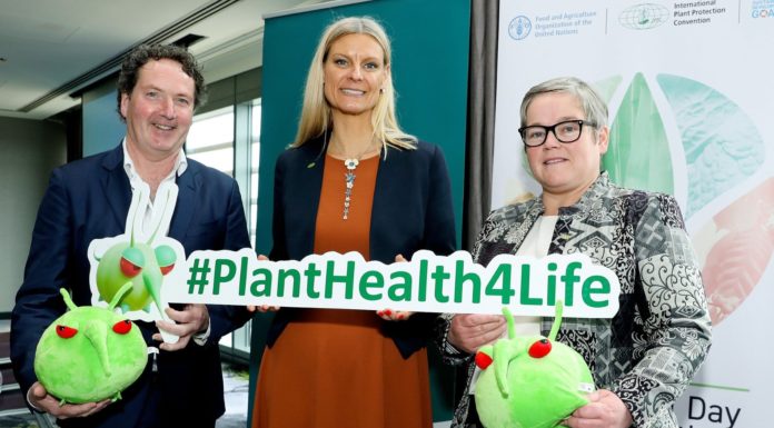 Ireland Joins European Effort to Boost Plant Health; Urges Tourists Not to Bring Back non-EU Plants from Travels