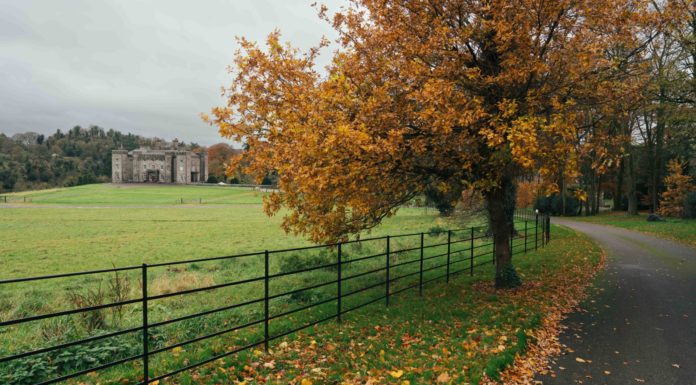 Tourism Ireland Unveils New ‘Fill Your Heart with Ireland’ Campaign Ads