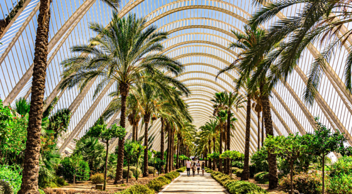 Win A Trip For 2 To Valencia, Through ITTN Webinars