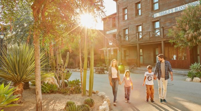 Supplier Spotlight: Flexible Booking with Bedsonline