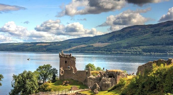 Venture Ashore Offering Multi-Port Discounts for Cruise Excursions; Benefitting Passengers and Travel Agents Alike