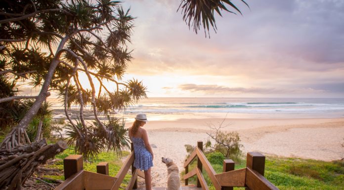 Air New Zealand’s Seasonal Service to the Sunshine Coast Returns