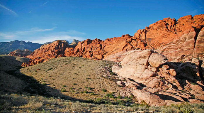 Nevada Confirmed as Host for Ultra X Marathon 2024