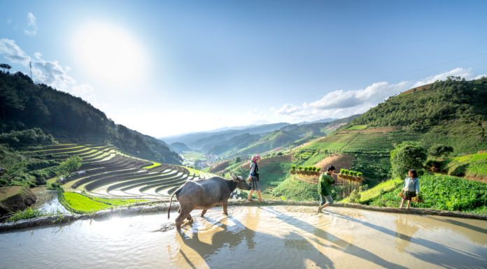 Leading DMC, DTH Travel Signals Strong Growth & Shares Travel Trends in Asia