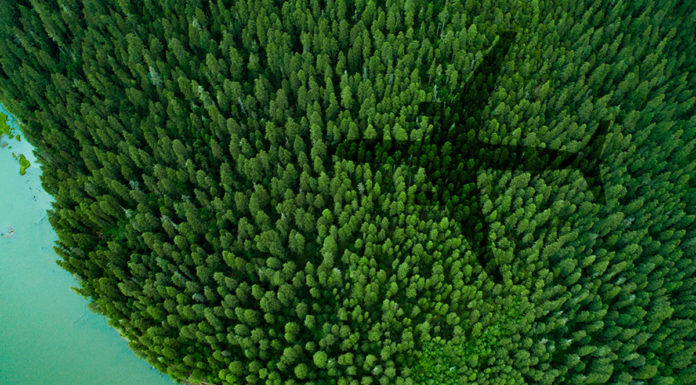 American Airlines: ‘Net Zero by 2050 is the Right Plan, But it Won’t Be Easy’