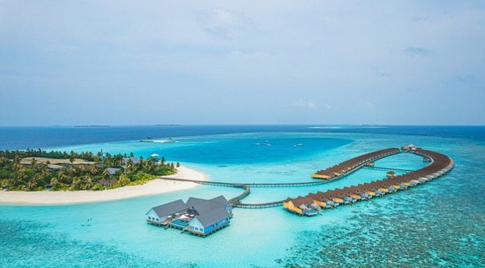 Hyatt to Create New Lifestyle Group with Standard International Takeover