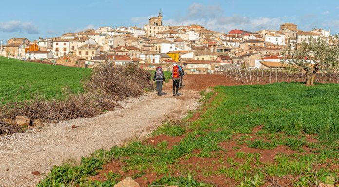 Follow The Camino Launches New Website