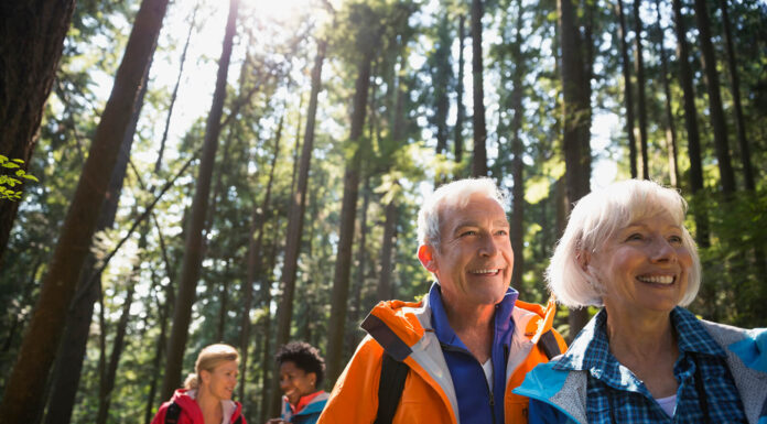 Educational Travel Specialist Road Scholar Unveils Comprehensive Sustainability Initiative