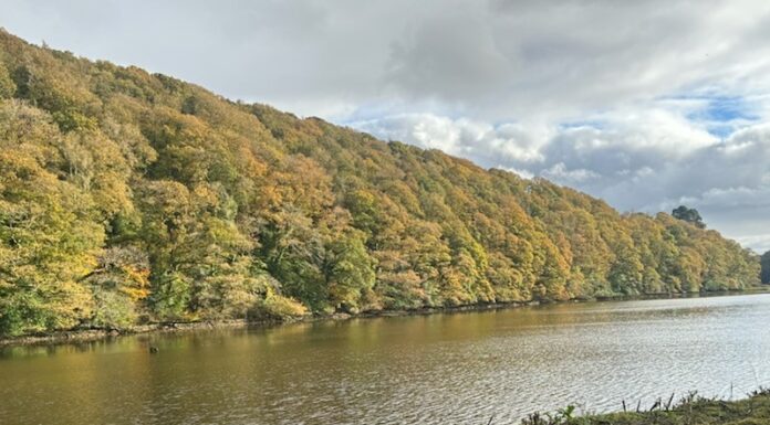 International Visitor Numbers and Spending on the Rise, but Bed Nights Down