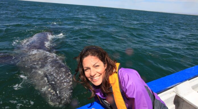 Intrepid Travel Joins Fight to Protect Marine Life