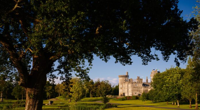 Ireland’s Blue Book Announces Two Additions for 2025 Portfolio