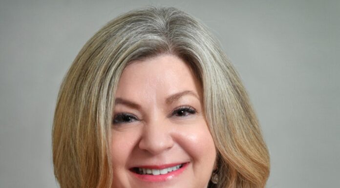 Great Lakes USA Appoints Cathy Domanico Tourism Director