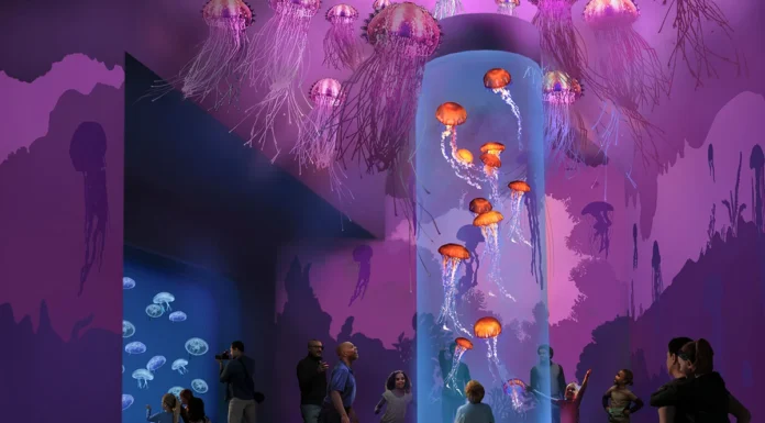SeaWorld San Diego to Mark 2025 with ‘Jewels of the Sea’ Attraction and Revamped ‘Journey to Atlantis’ Ride