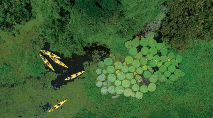 Seabourn Cruise Line Unveils 2026-2027 Expedition Itineraries