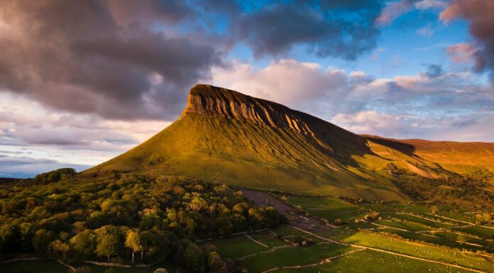 Over 70 Tourism Businesses Attend Fáilte Ireland’s ‘Destination Sligo’ Networking Event