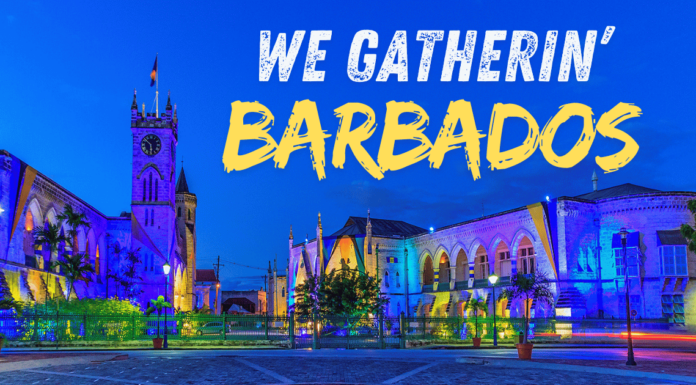 Aer Lingus Strengthens Caribbean Links with Special Offer for Barbadian Diaspora