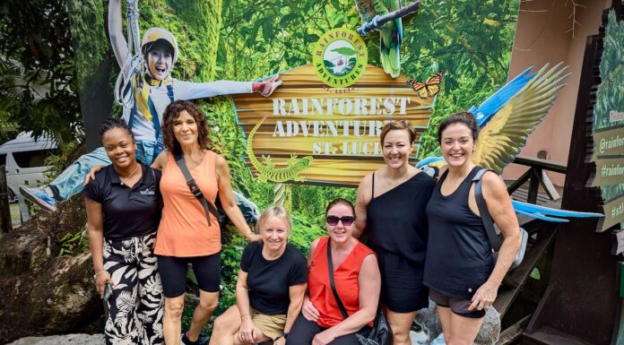 Caribbean Nights & Rainforest Trails – St. Lucia’s Island Adventure