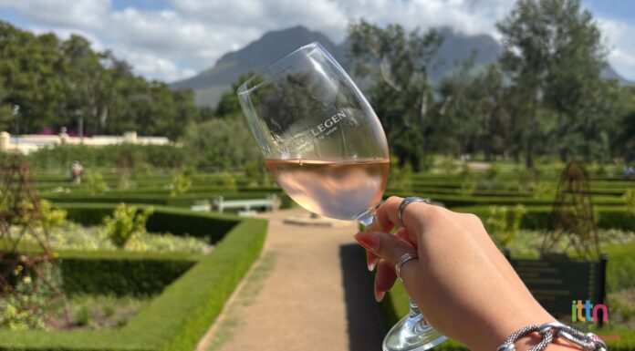 Wine, Cheese, Chocolate & Safari: South Africa FAM Trip (Part 2)