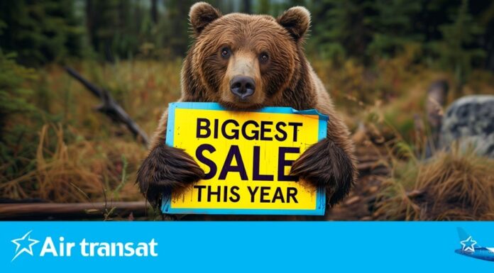 Air Transat Starts New Year Sale on Dublin-Toronto Route