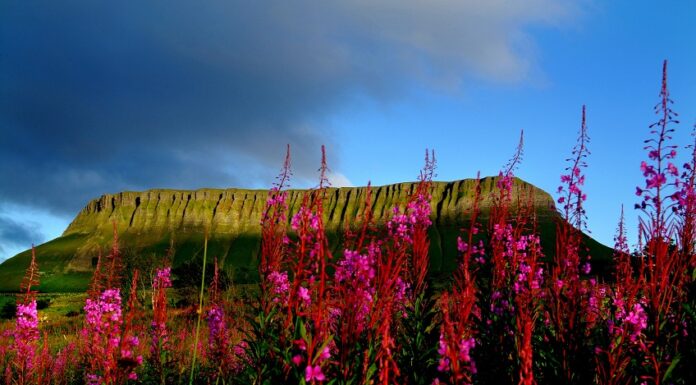 Tourism Ireland Appoints Grey London to Develop Global Creative Output