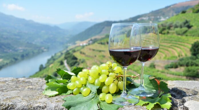 Swan Hellenic Announces ‘Legacy of Wine: The Atlantic Voyage’ Old World Wine Cruise