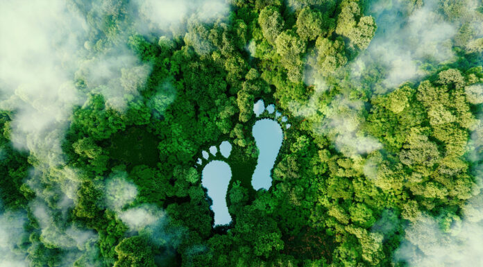 WTTC Survey: Sustainable Travel Attractive to Holidaymakers, but Cost Remains King